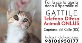 Immagine per uso web