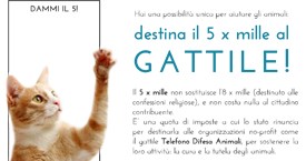 Volantini formato A5