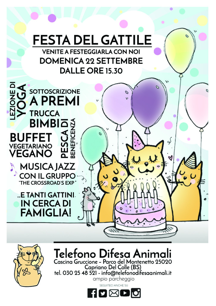 Festa del gattile