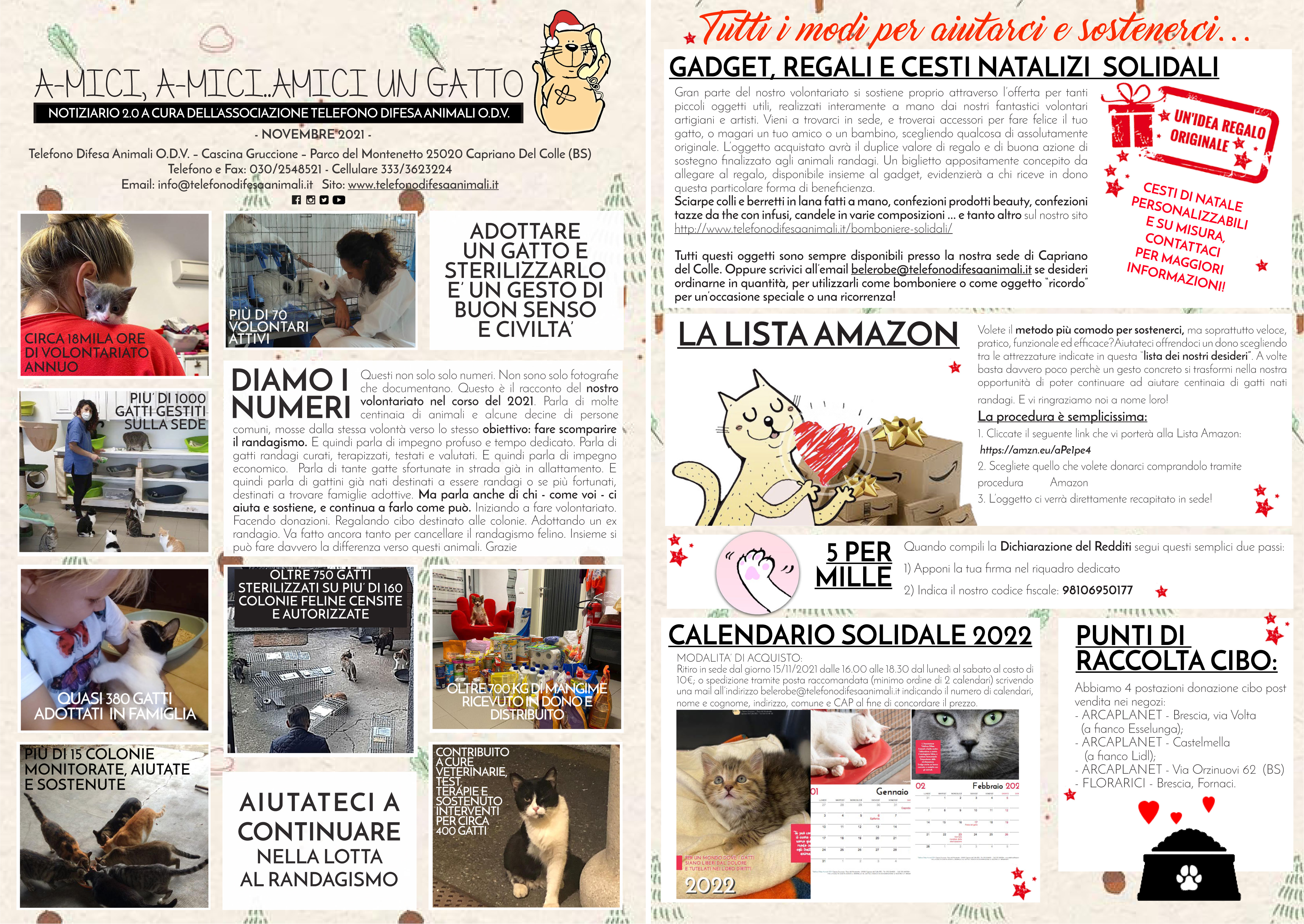 11 edizione_bozza PG 1-2