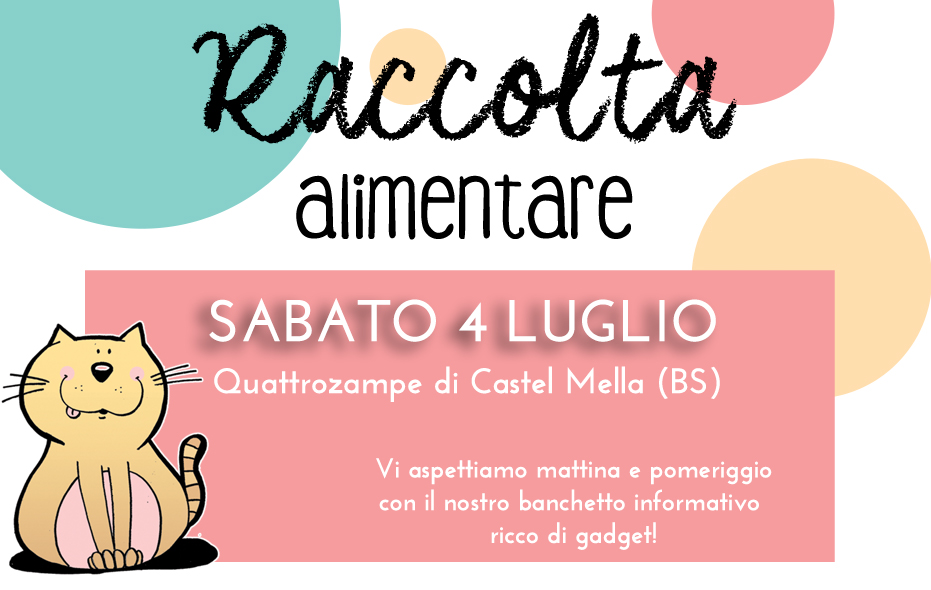 Castel-Mella-raccolta-alimentare-banchetto-4-luglio