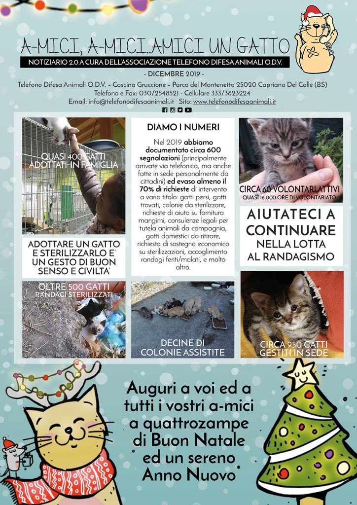 Notiziario-gattile-dicembre-sito