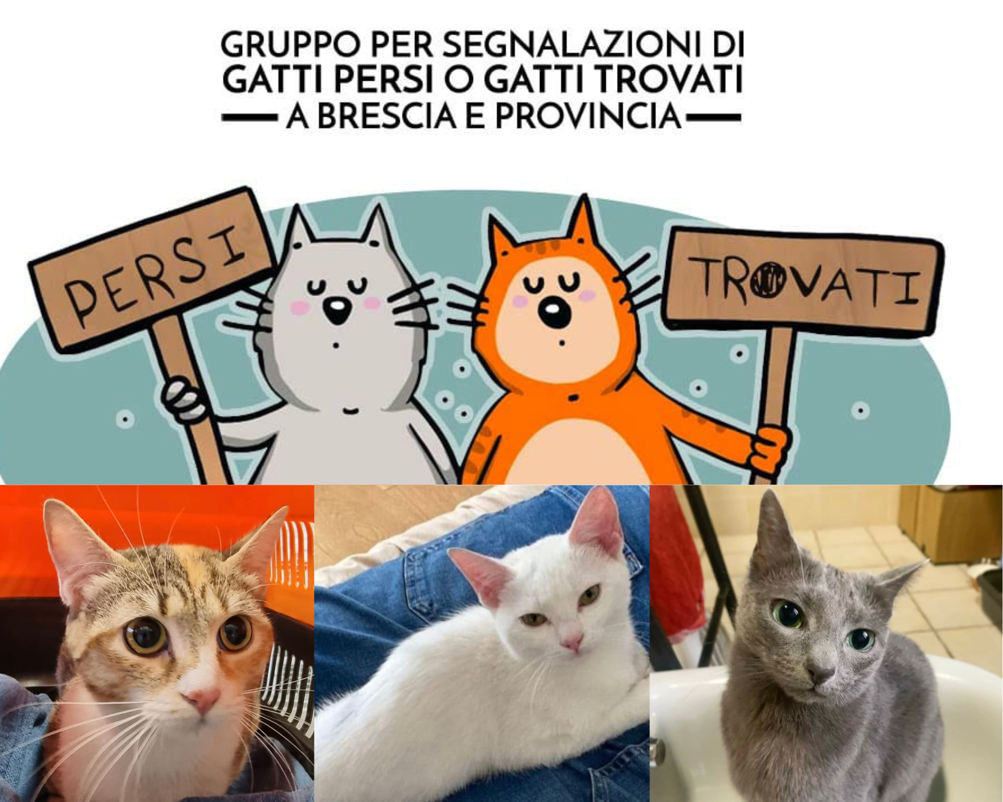 Progetto senza titolo