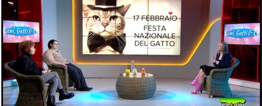 Festa del gatto con l’Associazione Telefono Difesa Animali (Telecolor)