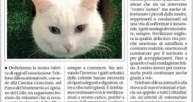 “Telefono difesa animali” cerca aiuto!
