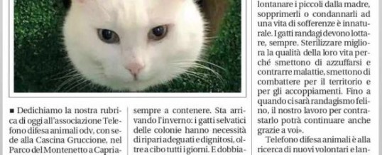 “Telefono difesa animali” cerca aiuto!