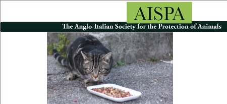 AISPA per i gatti