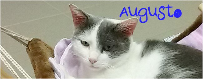 augustos