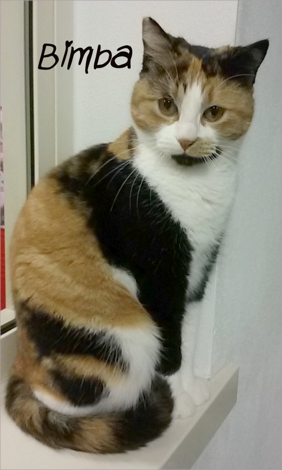 bimba