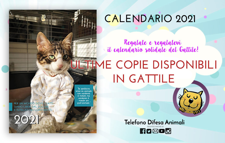 calendario-2021-gattile-ESAURITO