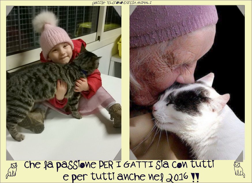 capodanno16