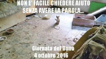 4 ottobre 2016: LA GIORNATA DEL DONO