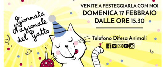 Giornata Nazionale del Gatto: 17 febbraio 2019