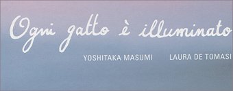 OGNI GATTO E’ ILLUMINATO