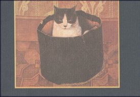 LA GATTA