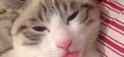 Mia
