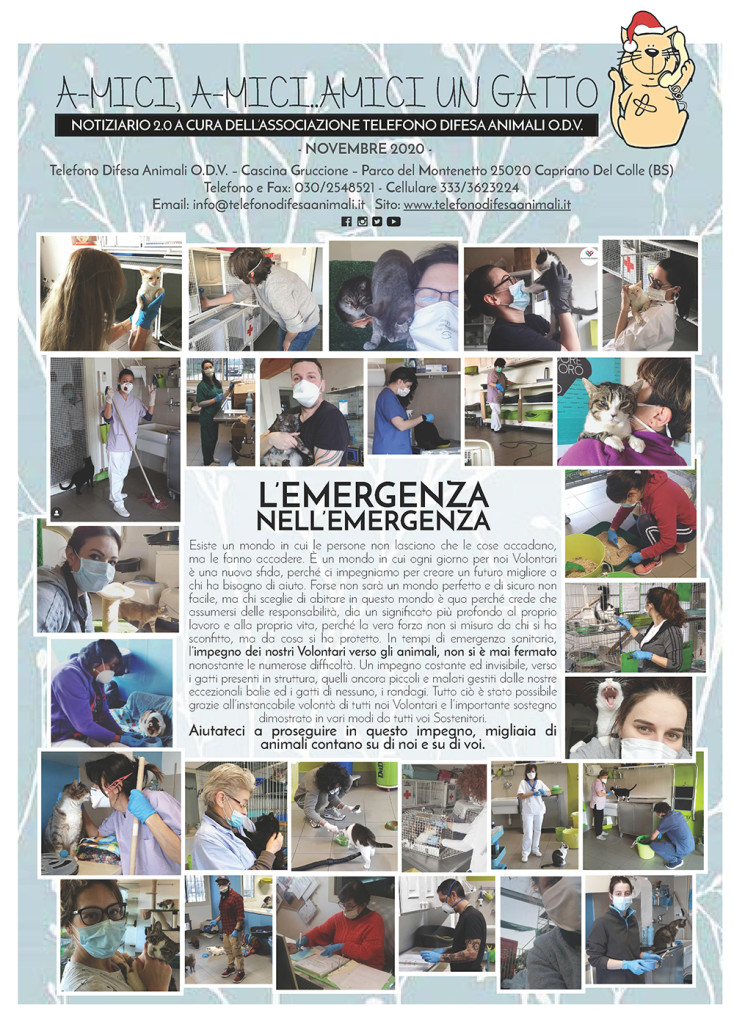 miciolandia-dic-2020