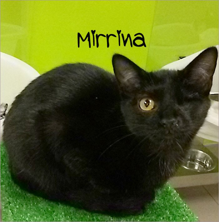 mirrinab