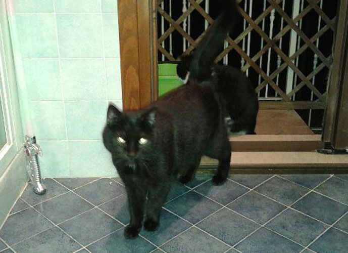 nerone1115