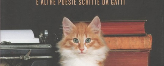 POTREI FARCI PIPI’ (e altre poesie scritte da gatti)