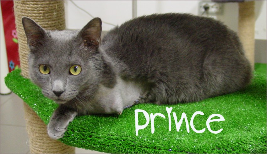 princeb