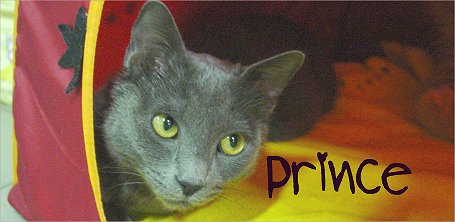 princes
