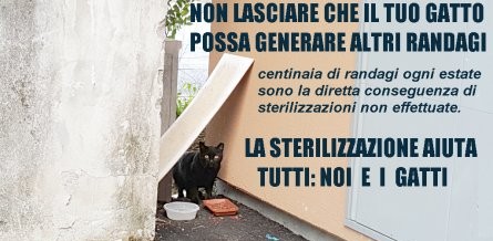 Randagismo? No, grazie!