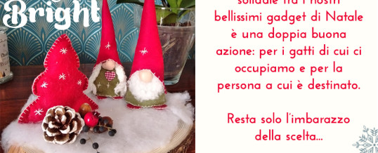 REGALI DI NATALE SOLIDALI! Catalogo aggiornato