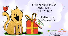 Adotta un gatto: ricevi un Welcome Kit gratuito